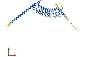 AlphaFold protein structure predicition of Human Recombinant LRRC39 Protein, UniprotID Q96DD0