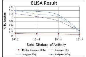 Red: Control Antigen (100 ng), Purple: Antigen (10 ng), Green: Antigen (50 ng), Blue: Antigen (100 ng),