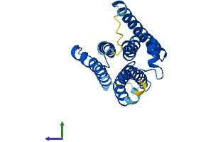 AlphaFold protein structure predicition of Human Recombinant PIGF Protein, UniprotID Q07326
