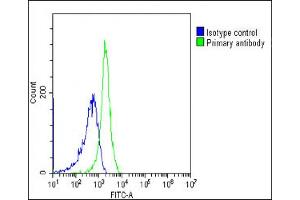 Overlay histogram showing Jurkat cells stained with (ABIN6243087 and ABIN6577253)(green line).