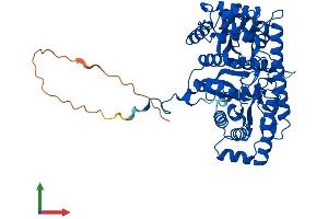 AlphaFold protein structure predicition of Mouse Recombinant Gpt2 Protein, UniprotID Q8BGT5