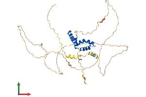 AlphaFold protein structure predicition of Mouse Recombinant Lef1 Protein, UniprotID P27782