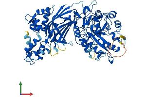 AlphaFold protein structure predicition of Human Recombinant PLCZ1 Protein, UniprotID Q86YW0