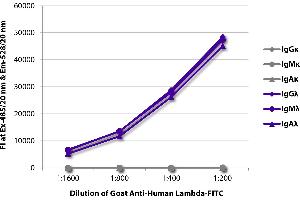 Goat anti-Human Ig (Chain lambda) antibody (Texas Red (TR))