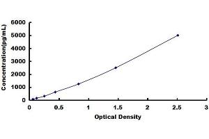 Stabilin 1 (STAB1) ELISA Kit