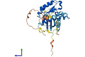 AlphaFold protein structure predicition of Mouse Recombinant Rab40b Protein, UniprotID Q8VHP8