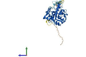 AlphaFold protein structure predicition of Mouse Recombinant St3gal5 Protein, UniprotID O88829