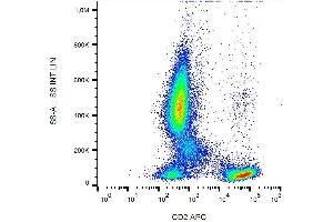 Surface staining of human peripheral blood cells with anti-human CD2 (LT2) APC.