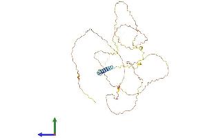 AlphaFold protein structure predicition of Mouse Recombinant Lax1 Protein, UniprotID Q8BHB3