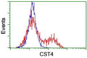 Image no. 2 for anti-Cystatin S (CST4) antibody (ABIN1497667)