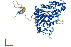 AlphaFold protein structure predicition of Mouse Recombinant Chst1 Protein, UniprotID Q9EQC0