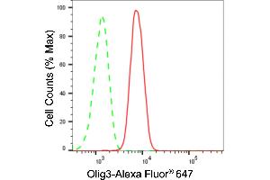 Flow cytometric analysis of Olig3 expression in HAP-1 cells using Olig3 antibody (ABIN7799702), 1:2,000).