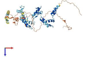 AlphaFold protein structure predicition of Human Recombinant ZNF669 Protein, UniprotID Q96BR6