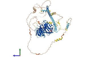 AlphaFold protein structure predicition of Human Recombinant STRN Protein, UniprotID O43815