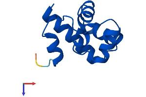 AlphaFold protein structure predicition of Mouse Recombinant Banf2 Protein, UniprotID Q8BVR0
