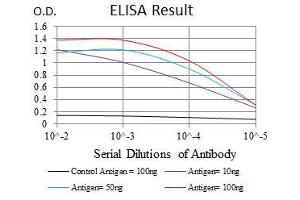 anti-Fast Skeletal Troponin I (TNNI2) antibody