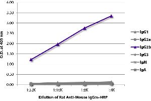 ELISA plate was coated with purified mouse IgG1, IgG2a, IgG2b, IgG3, IgM, and IgA. (Rat anti-Souris IgG2b Anticorps (HRP))