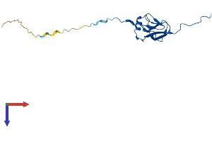 AlphaFold protein structure predicition of Mouse Recombinant Mrpl27 Protein, UniprotID Q99N92
