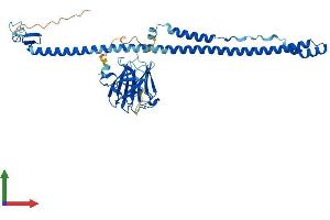 AlphaFold protein structure predicition of Mouse Recombinant Trim14 Protein, UniprotID Q8BVW3