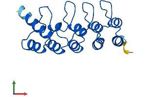 AlphaFold protein structure predicition of Human Recombinant CDKN2D Protein, UniprotID P55273