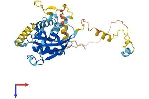AlphaFold protein structure predicition of Mouse Recombinant Atg3 Protein, UniprotID Q9CPX6
