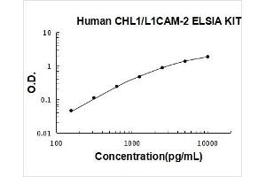 Human CHL1/L1CAM-2 PicoKine ELISA Kit standard curve