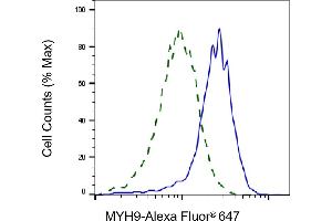 Flow cytometric analysis of MYH9 expression in HepG2 cells using MYH9 antibody (ABIN7799519), 1:1,000). (Myosin 9 anticorps)