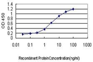 Detection limit for recombinant GST tagged NFYB is approximately 0. (NFYB anticorps  (AA 1-207))