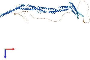 AlphaFold protein structure predicition of Human Recombinant PRC1 Protein, UniprotID O43663