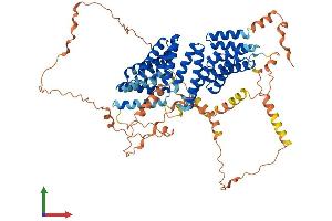 AlphaFold protein structure predicition of Human Recombinant GPSM1 Protein, UniprotID Q86YR5