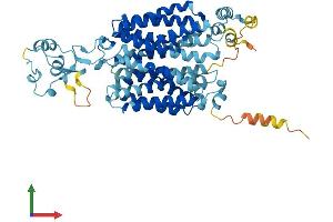 AlphaFold protein structure predicition of Human Recombinant SLC22A2 Protein, UniprotID O15244