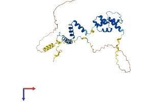 AlphaFold protein structure predicition of Human Recombinant FBXO16 Protein, UniprotID Q8IX29