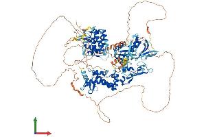 AlphaFold protein structure predicition of Human Recombinant PLEKHM1 Protein, UniprotID Q9Y4G2