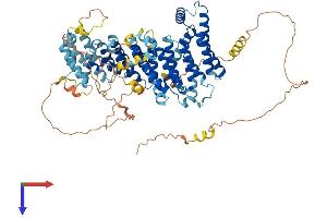 AlphaFold protein structure predicition of Human Recombinant NOC2L Protein, UniprotID Q9Y3T9