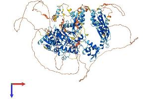 AlphaFold protein structure predicition of Human Recombinant ADAR Protein, UniprotID P55265