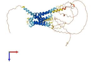 AlphaFold protein structure predicition of Mouse Recombinant Gpr75 Protein, UniprotID Q6X632