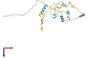 Coiled-Coil Domain Containing 71-Like (CCDC71L) (AA 1-235) protein (His tag)