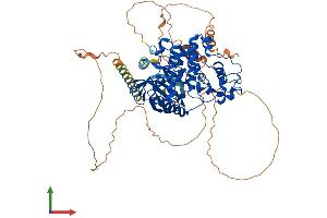 AlphaFold protein structure predicition of Human Recombinant SRPK1 Protein, UniprotID Q96SB4