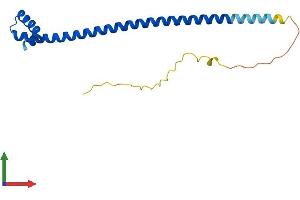 AlphaFold protein structure predicition of Mouse Recombinant Dydc1 Protein, UniprotID Q9D9T0