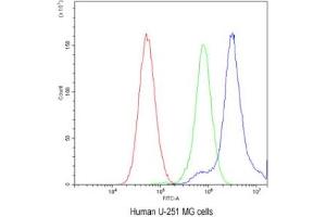 IHC testing of FFPE human breast cancer tissue with TCP1 delta antibody. (CCT4 anticorps)