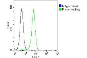 Overlay histogram showing K562 cells stained with (ABIN656161 and ABIN2845492) (green line).