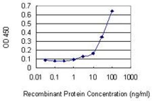 Detection limit for recombinant GST tagged RASA1 is 1 ng/ml as a capture antibody.