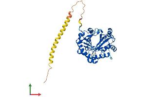 AlphaFold protein structure predicition of Human Recombinant RSAD2 Protein, UniprotID Q8WXG1