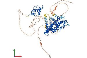 AlphaFold protein structure predicition of Mouse Recombinant Esr2 Protein, UniprotID O08537