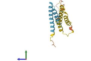 AlphaFold protein structure predicition of Mouse Recombinant Cmtm5 Protein, UniprotID Q9D6G9