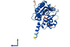 AlphaFold protein structure predicition of Mouse Recombinant Nmnat1 Protein, UniprotID Q9EPA7