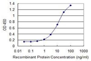 Detection limit for recombinant GST tagged CREB3L2 is 0.