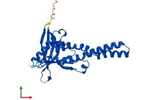 AlphaFold protein structure predicition of Mouse Recombinant Nat8b-ps Protein, UniprotID E0CYC6