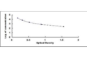 Rabbit Capture antibody from the kit in ELISA with Positive Control: Serum.