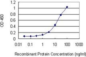 Detection limit for recombinant GST tagged NHLRC1 is 0.